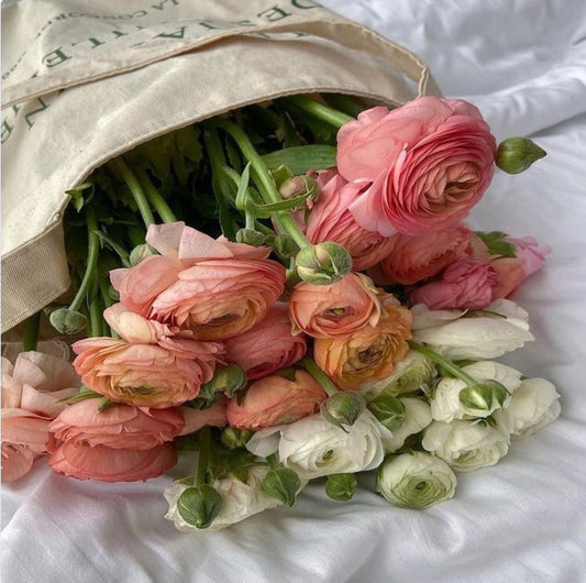 Why Organic Hoodies Are Better for Everyday Wear | PupInk Studio