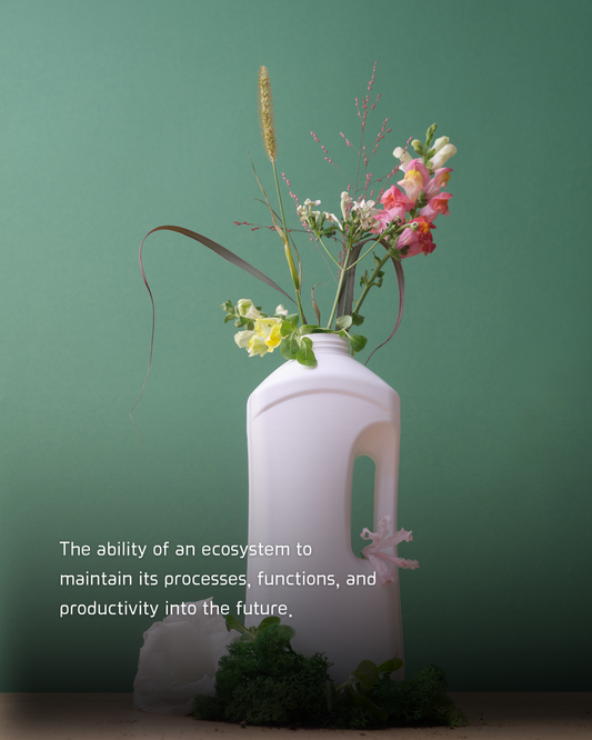 Why Sustainable Fashion Matters| PupInk Studio