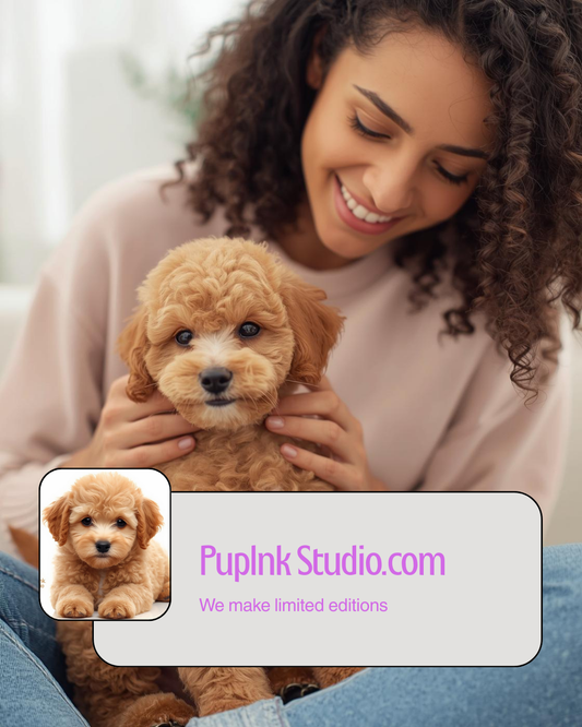 Best Gifts for Dog Lovers in the USA &amp; Europe (2026 Guide)