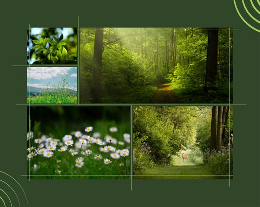 Why Organic Materials Matter in Everyday Products | PupInk Studio