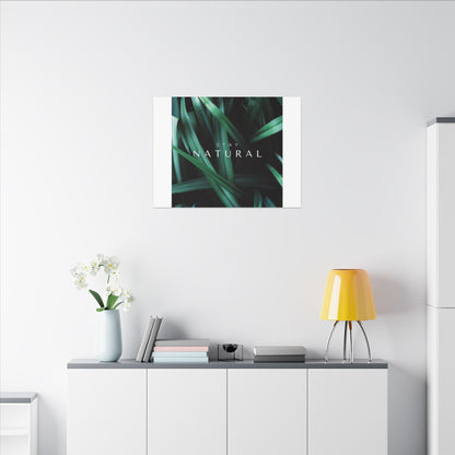Stay Natural Botanical Canvas Wall Art