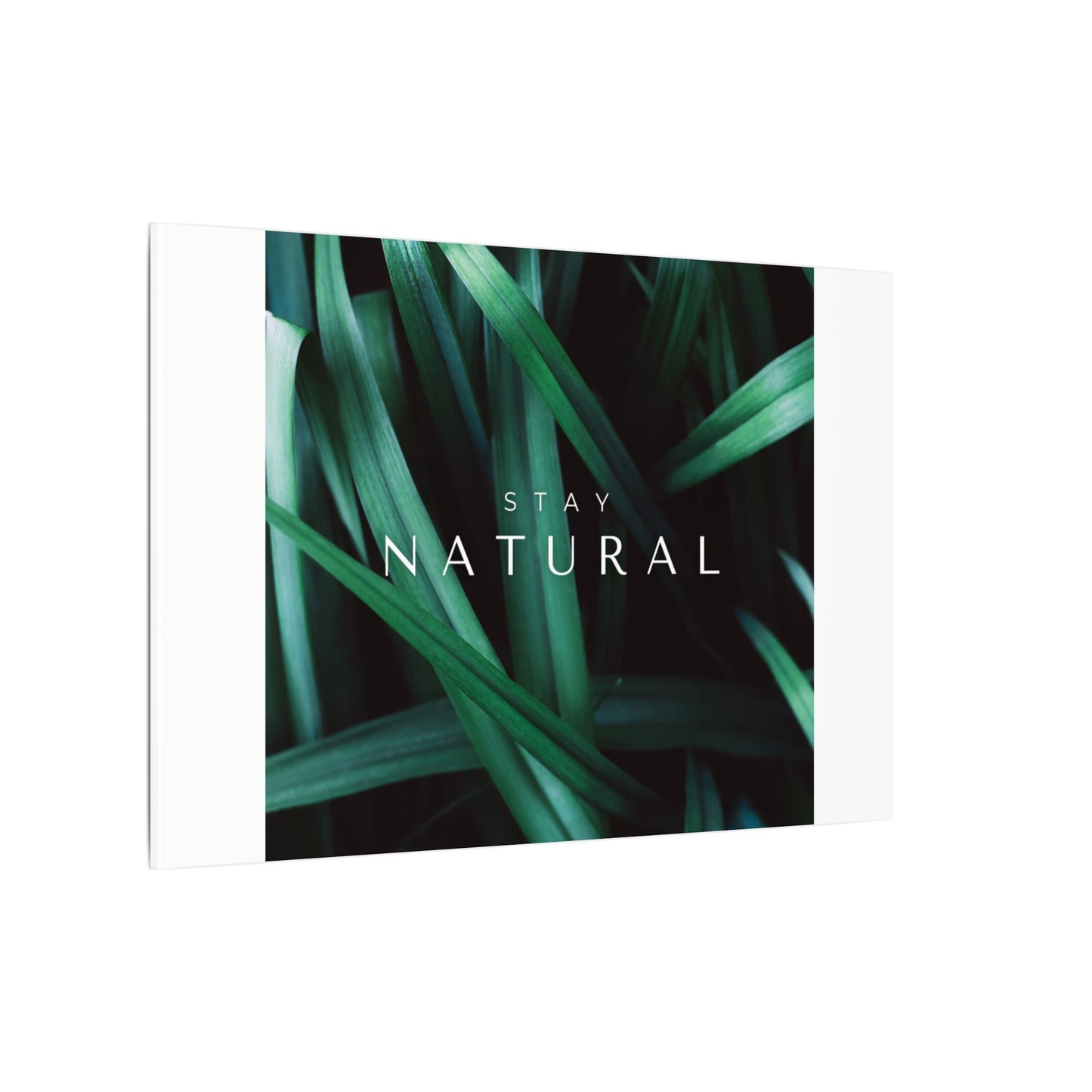 Stay Natural Botanical Canvas Wall Art
