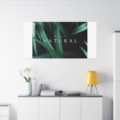 Stay Natural Botanical Canvas Wall Art