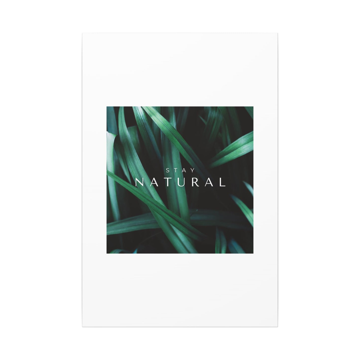 Stay Natural Botanical Canvas Wall Art