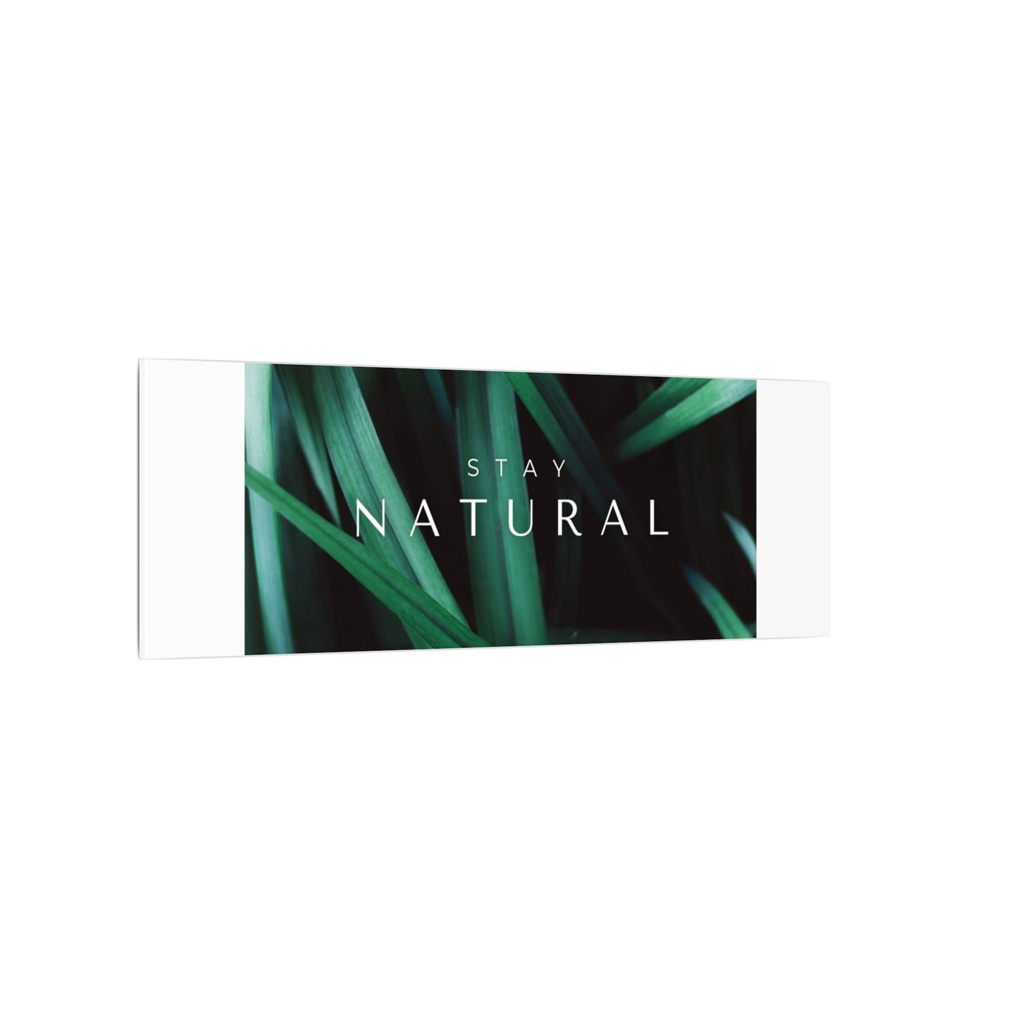 Stay Natural Botanical Canvas Wall Art
