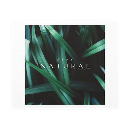 Stay Natural Botanical Canvas Wall Art