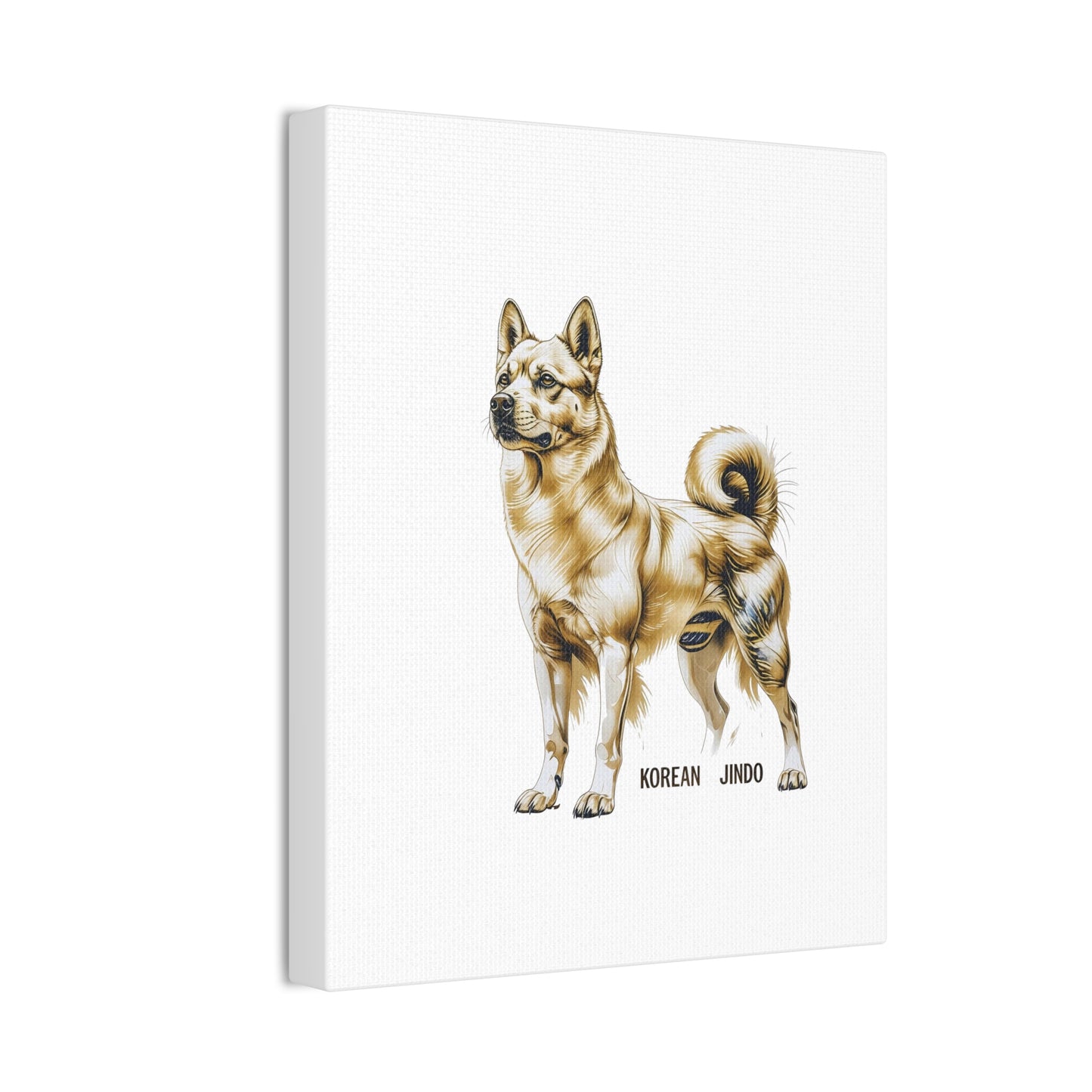 Korean Jindo Dog Illustration Canvas Wall Art | Eco - Limited