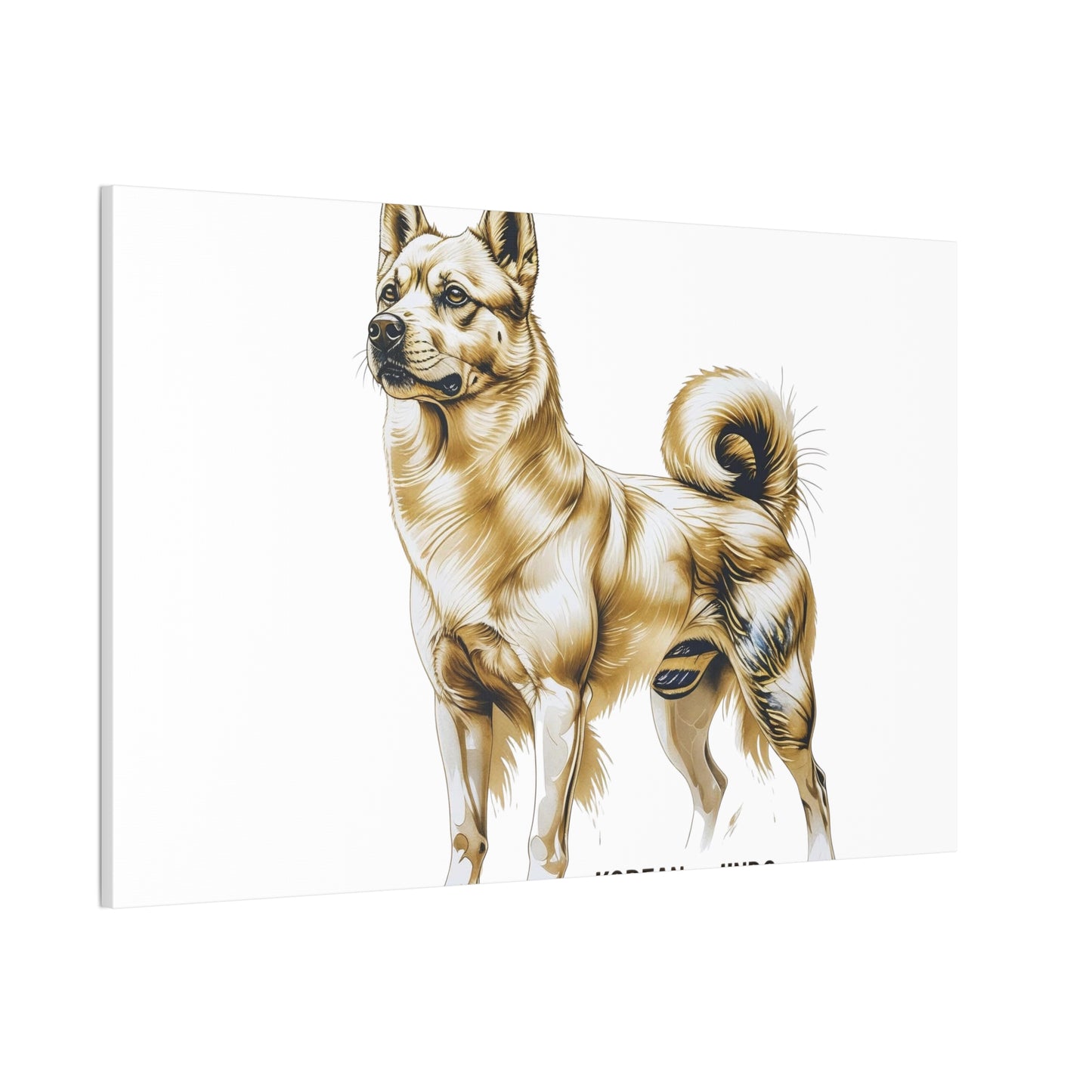 Korean Jindo Dog Illustration Canvas Wall Art | Eco - Limited