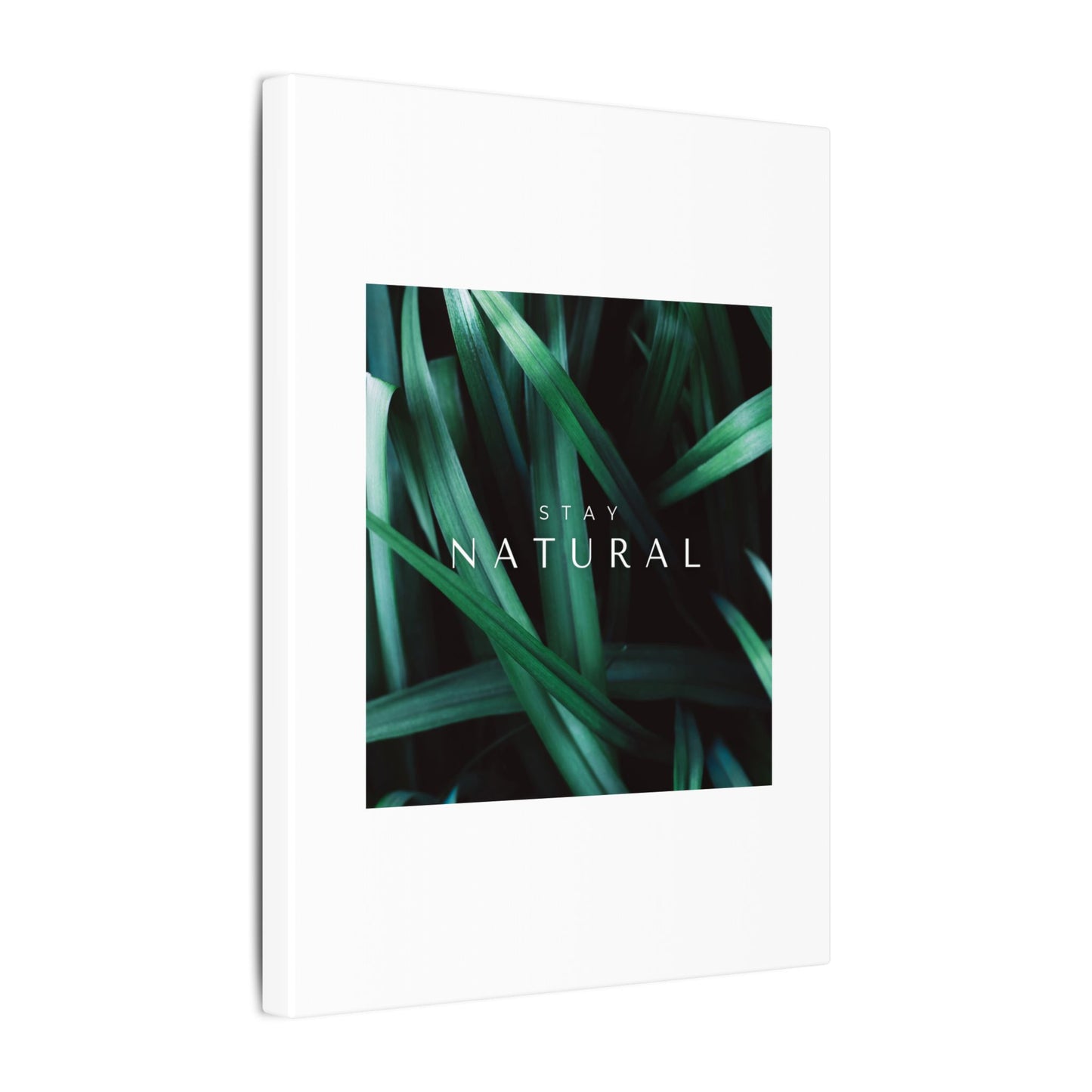 Stay Natural Botanical Canvas Wall Art