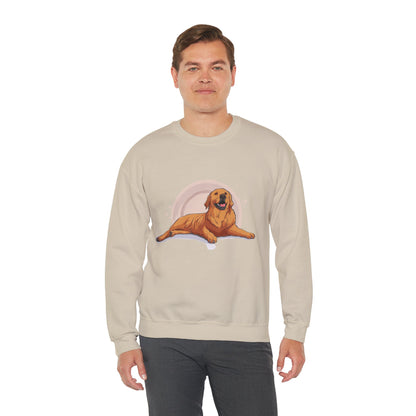 Color Burst Cat Art Sweatshirt | Eco-Limited