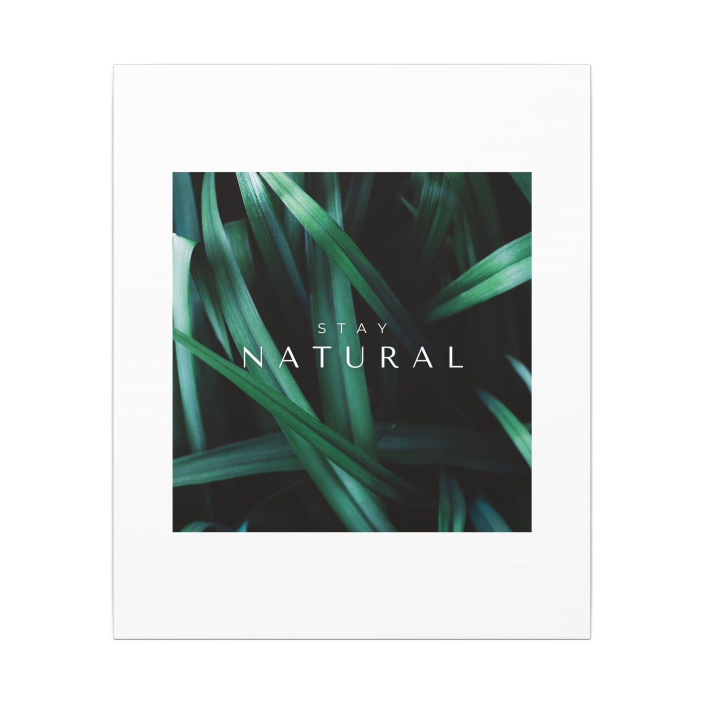 Stay Natural Botanical Canvas Wall Art