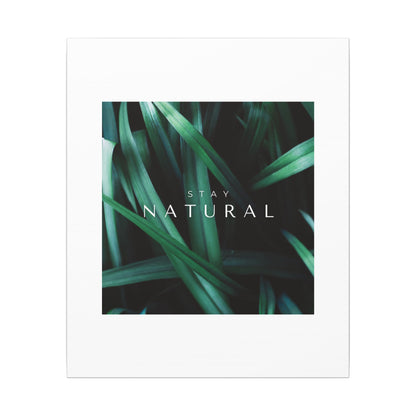 Stay Natural Botanical Canvas Wall Art