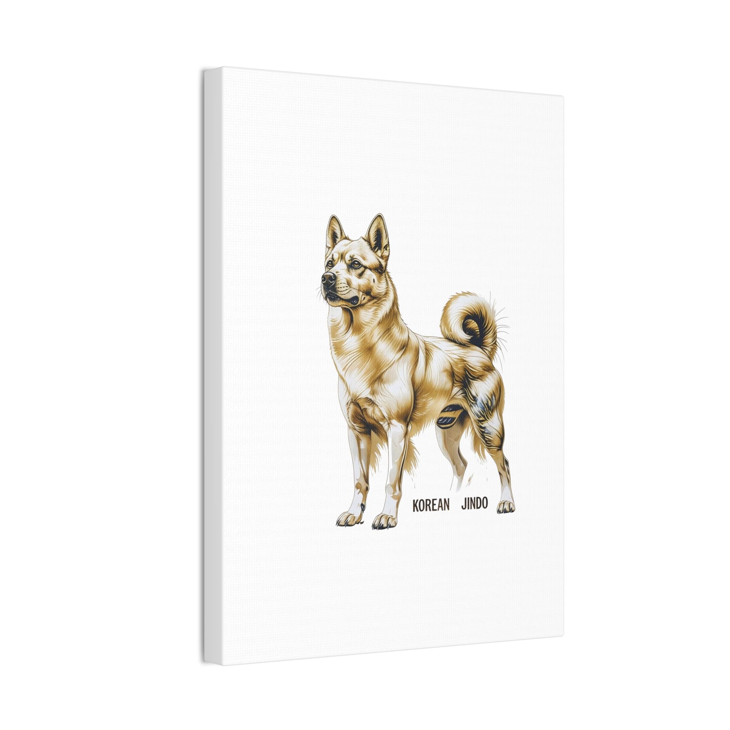 Korean Jindo Dog Illustration Canvas Wall Art | Eco - Limited