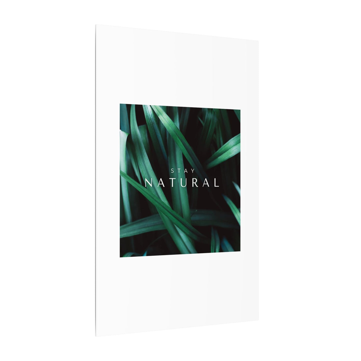 Stay Natural Botanical Canvas Wall Art
