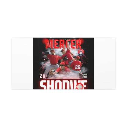 Baseball Team Player Poster