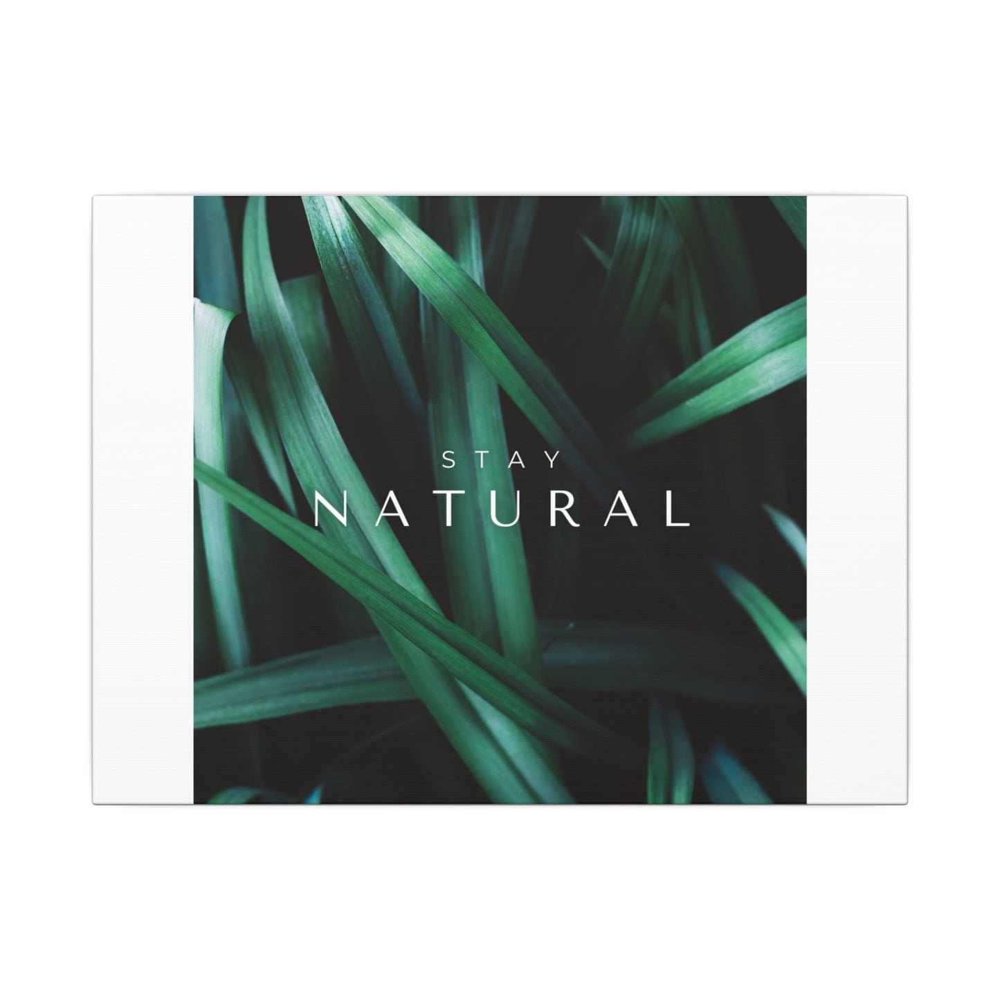 Stay Natural Botanical Canvas Wall Art