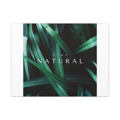 Stay Natural Botanical Canvas Wall Art