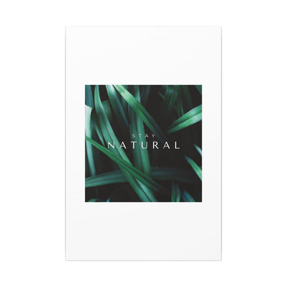 Stay Natural Botanical Canvas Wall Art