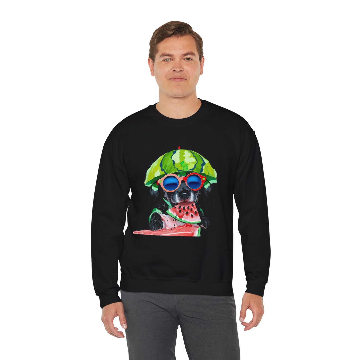 Dog in Helmet & Sunglasses Sweatshirt|Eco-Friendly - Limited