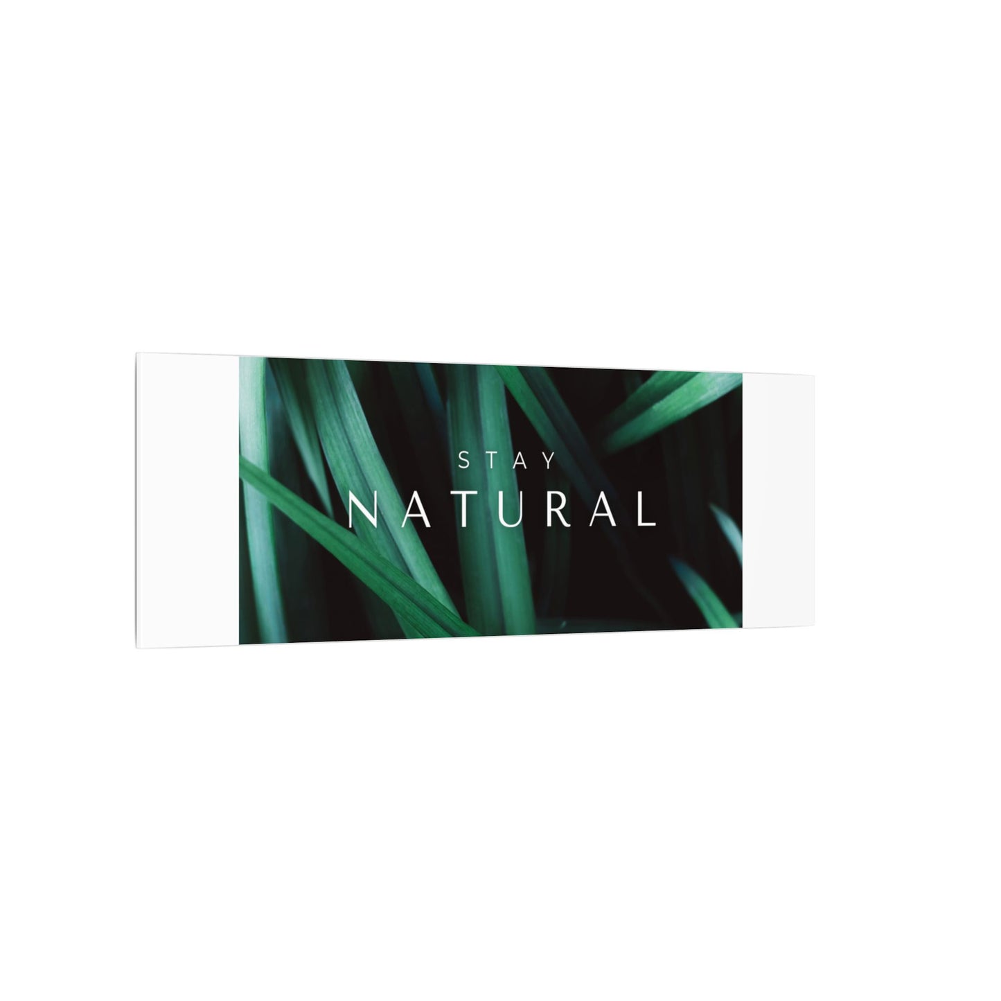 Stay Natural Botanical Canvas Wall Art