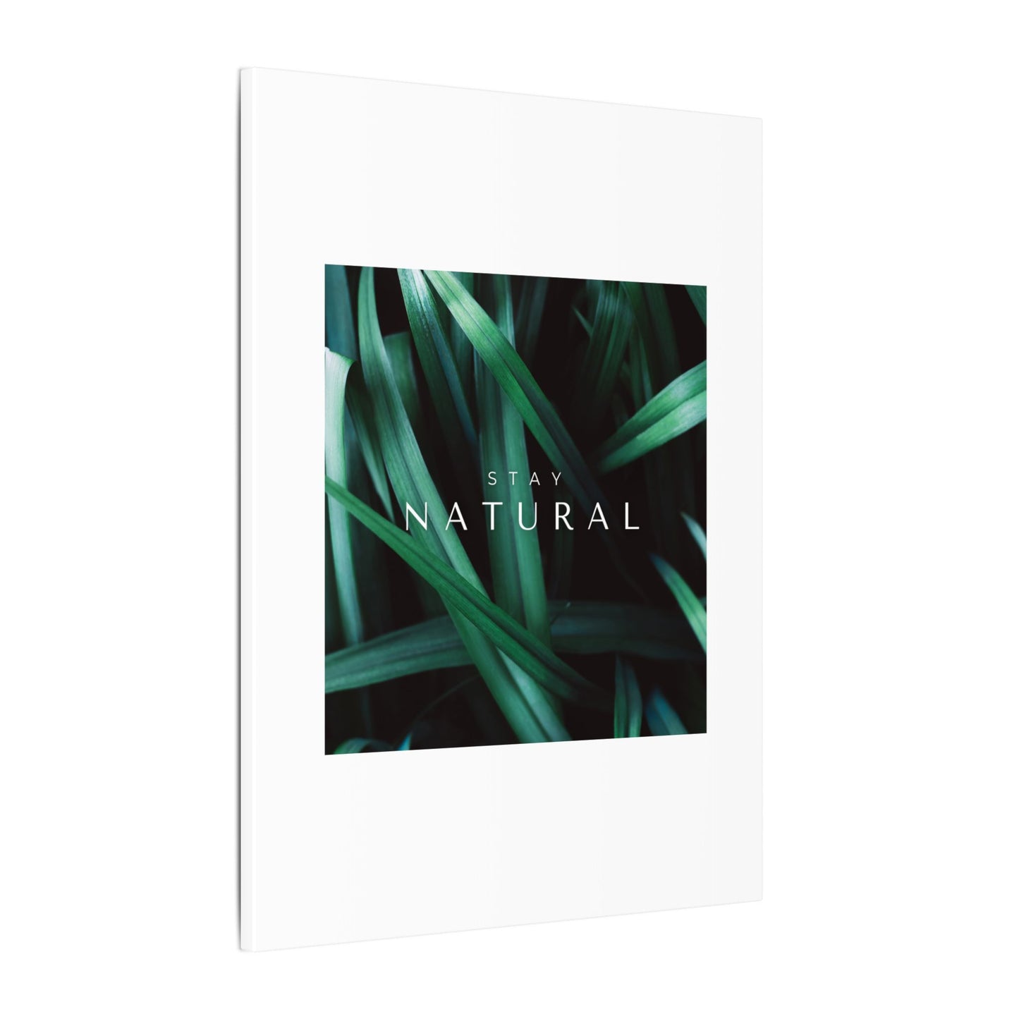 Stay Natural Botanical Canvas Wall Art