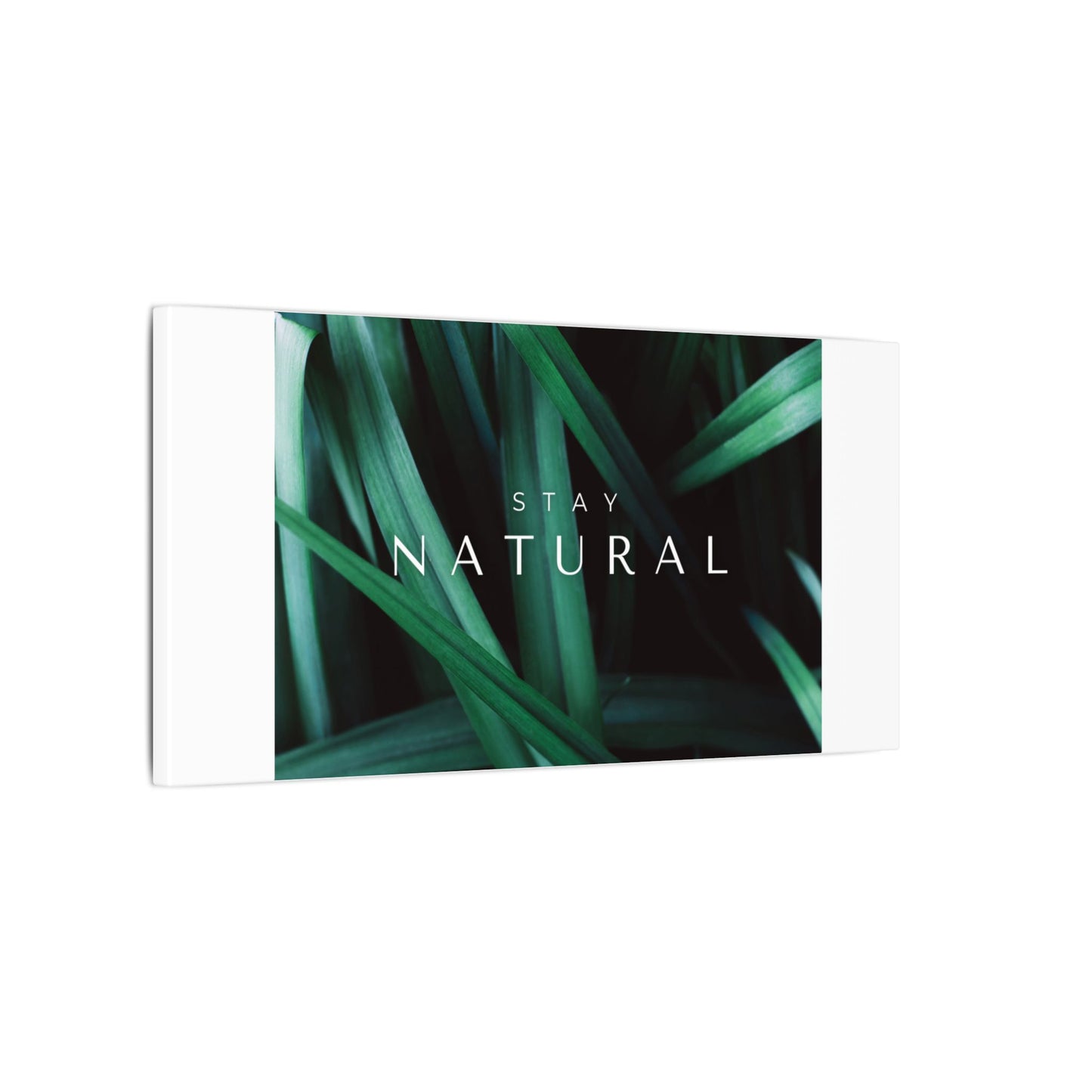 Stay Natural Botanical Canvas Wall Art