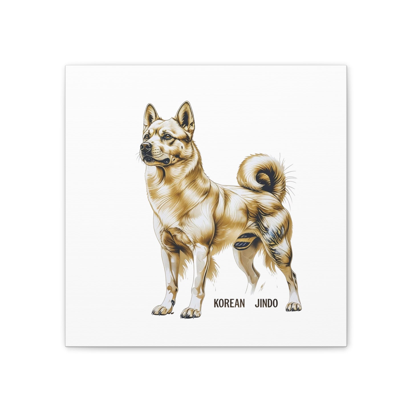 Korean Jindo Dog Illustration Canvas Wall Art | Eco - Limited