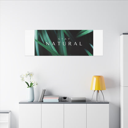 Stay Natural Botanical Canvas Wall Art
