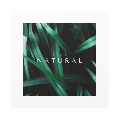 Stay Natural Botanical Canvas Wall Art