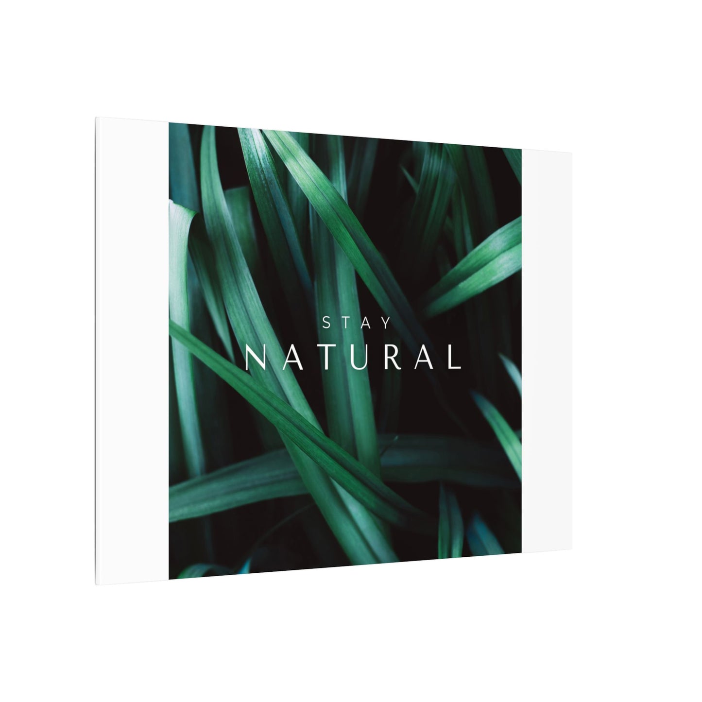 Stay Natural Botanical Canvas Wall Art
