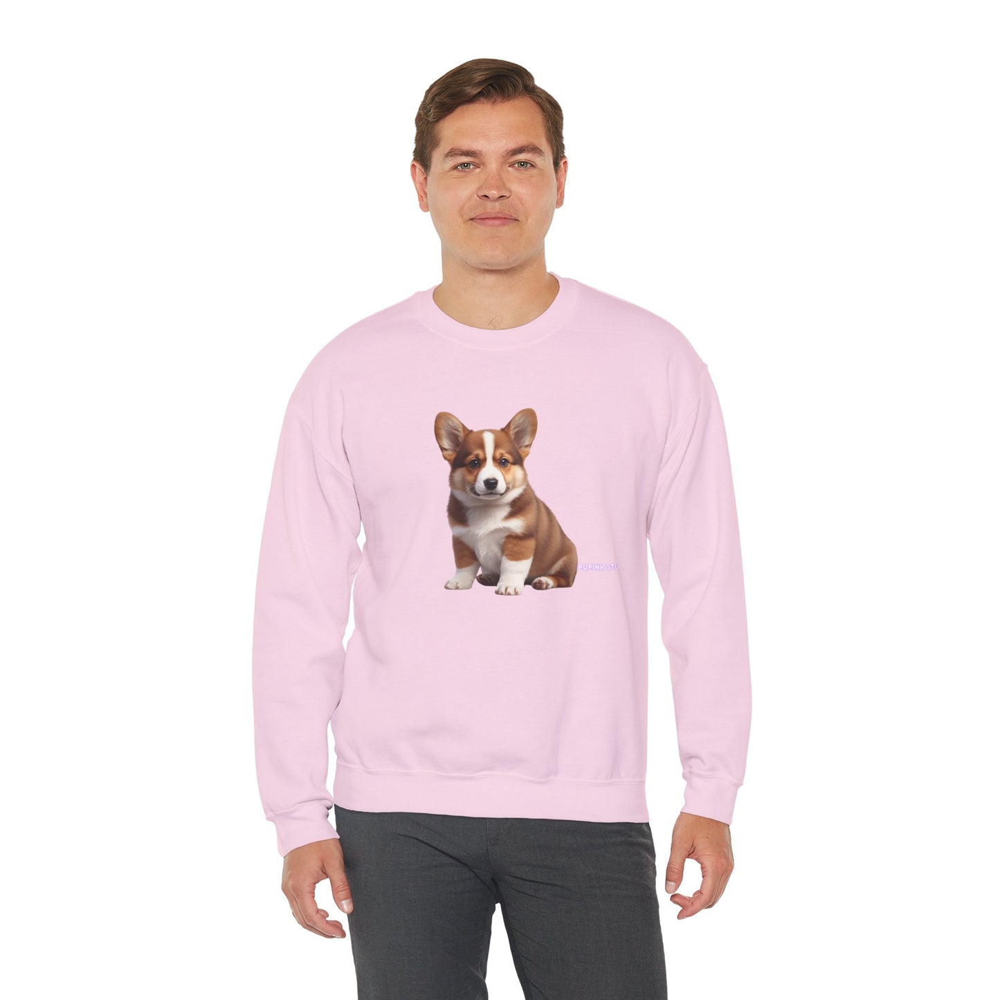 Corgi Puppy Graphic Sweatshirt|Eco-Friendly - Limited