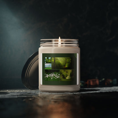 Forest Meadow Soy Organic Candle