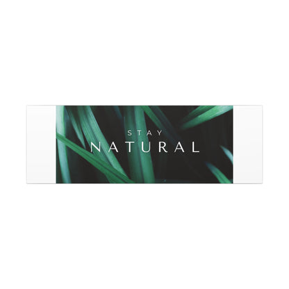 Stay Natural Botanical Canvas Wall Art