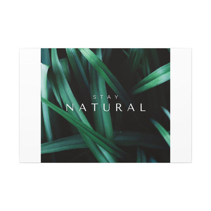 Stay Natural Botanical Canvas Wall Art