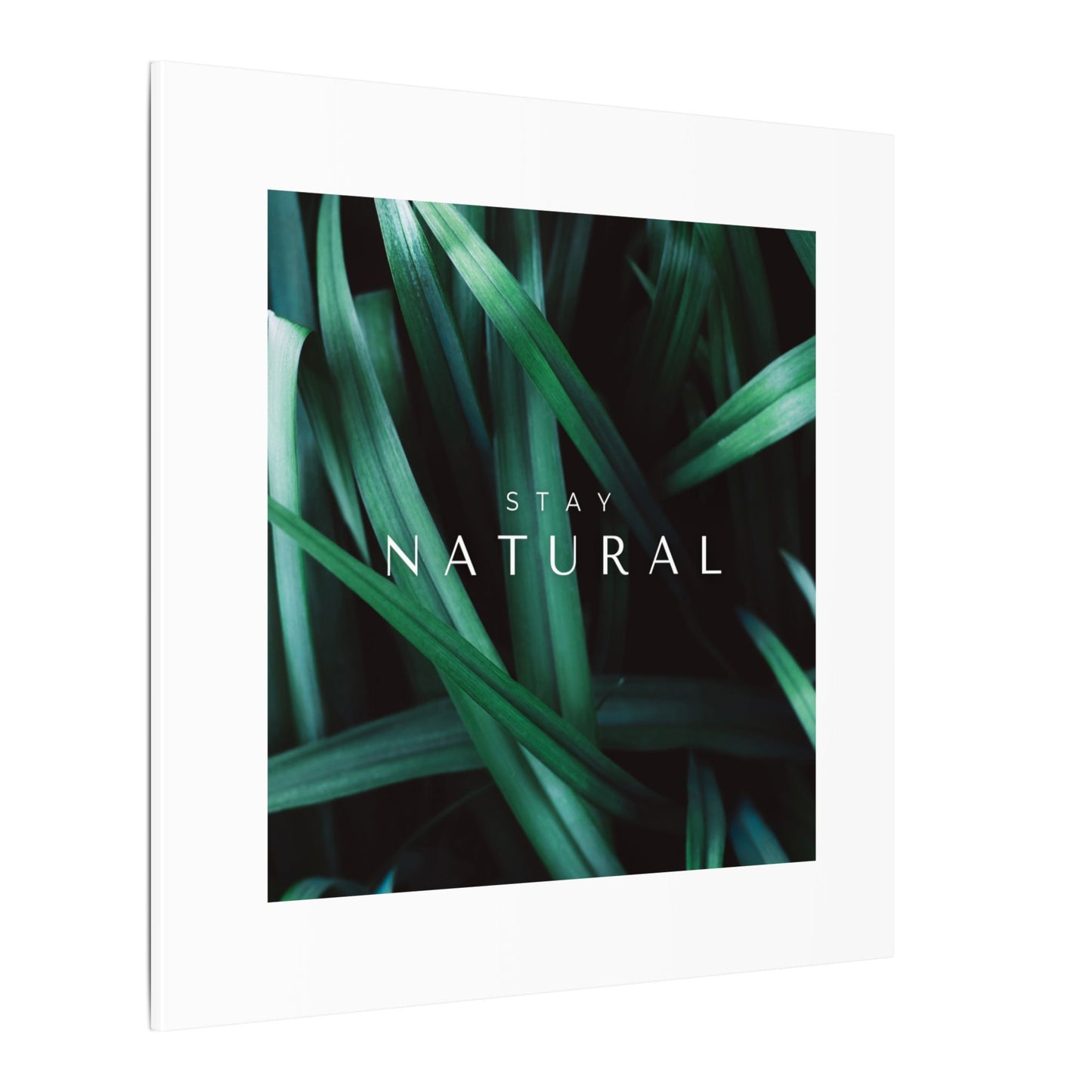 Stay Natural Botanical Canvas Wall Art