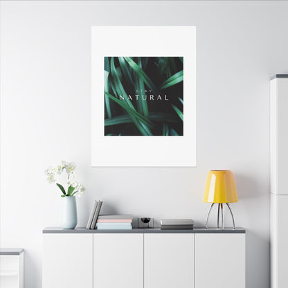 Stay Natural Botanical Canvas Wall Art