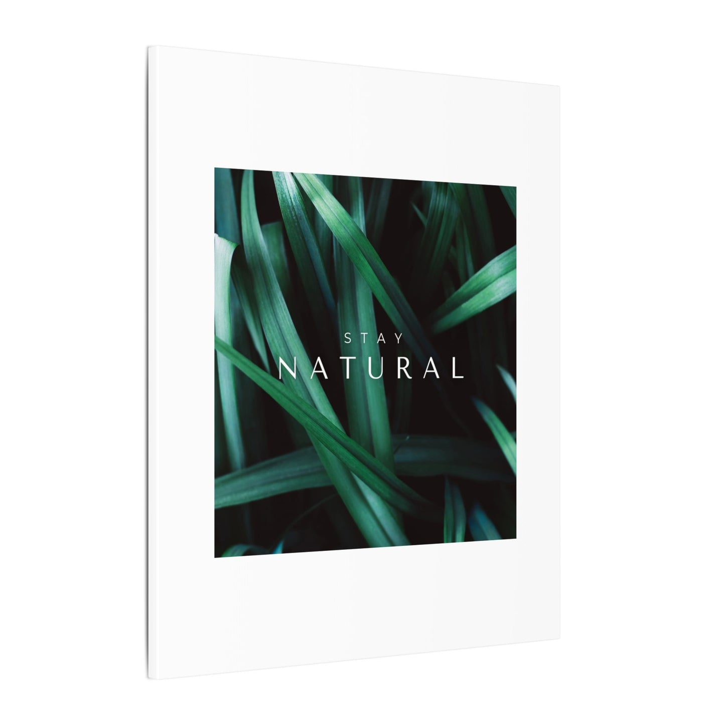 Stay Natural Botanical Canvas Wall Art