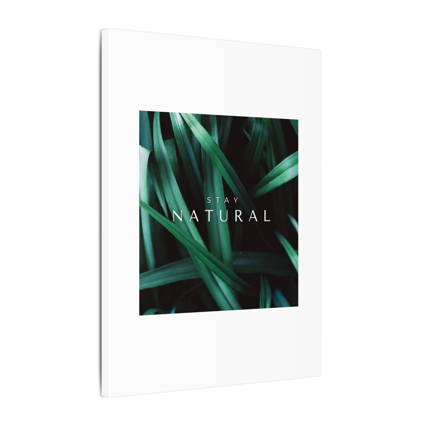 Stay Natural Botanical Canvas Wall Art
