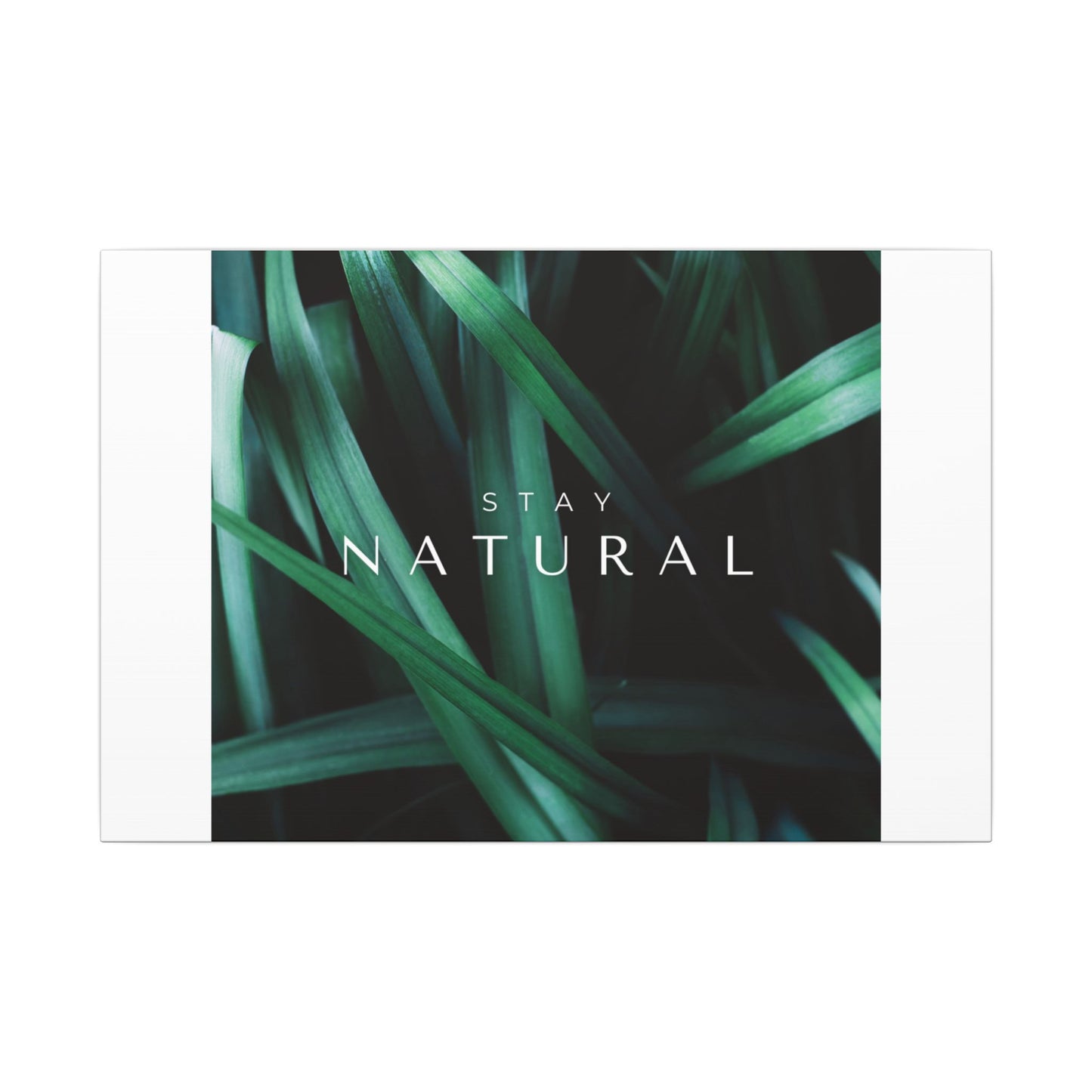 Stay Natural Botanical Canvas Wall Art