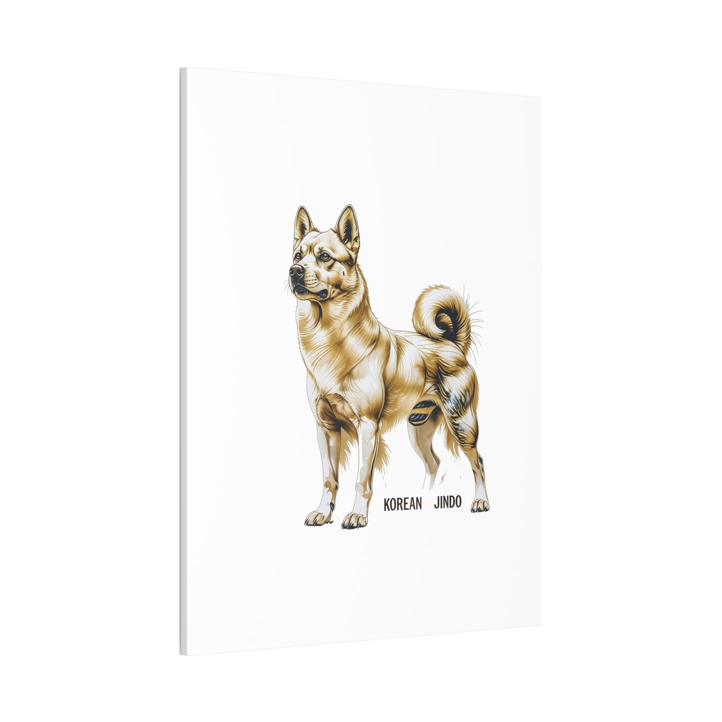 Korean Jindo Dog Illustration Canvas Wall Art | Eco - Limited