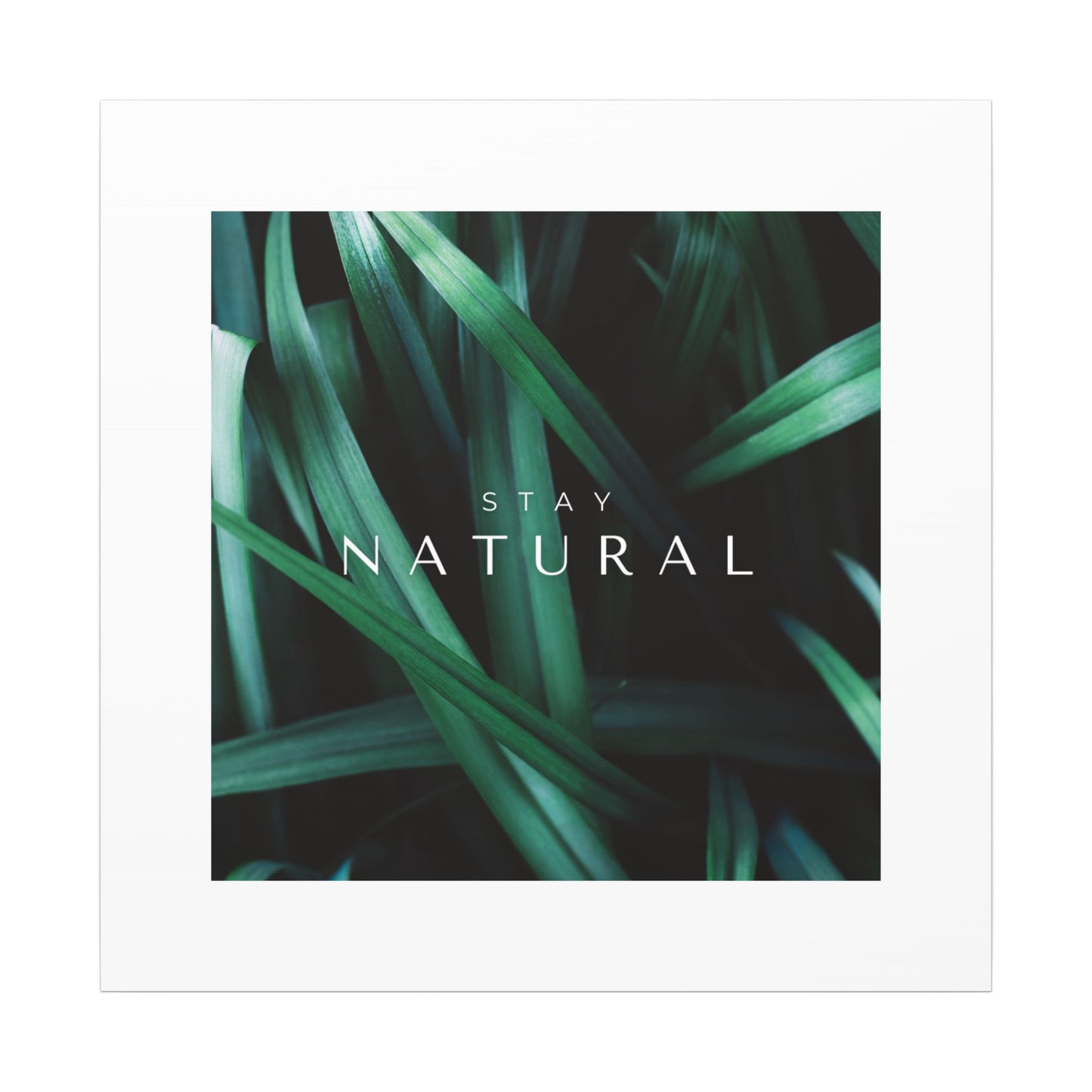 Stay Natural Botanical Canvas Wall Art