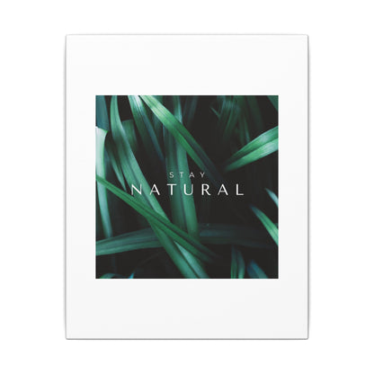 Stay Natural Botanical Canvas Wall Art