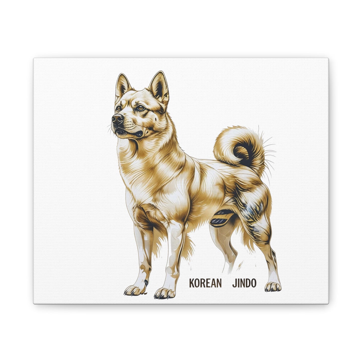Korean Jindo Dog Illustration Canvas Wall Art | Eco - Limited