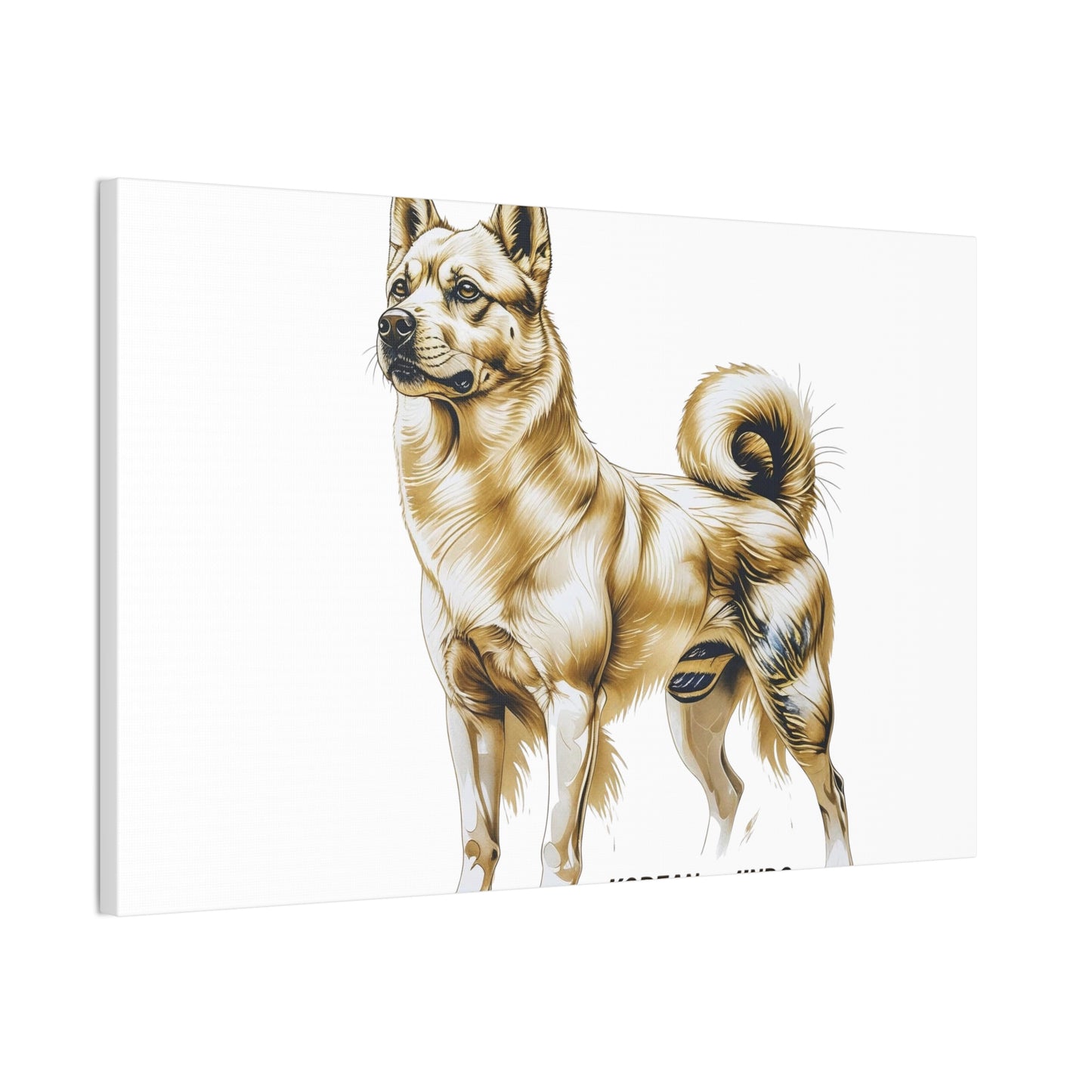 Korean Jindo Dog Illustration Canvas Wall Art | Eco - Limited