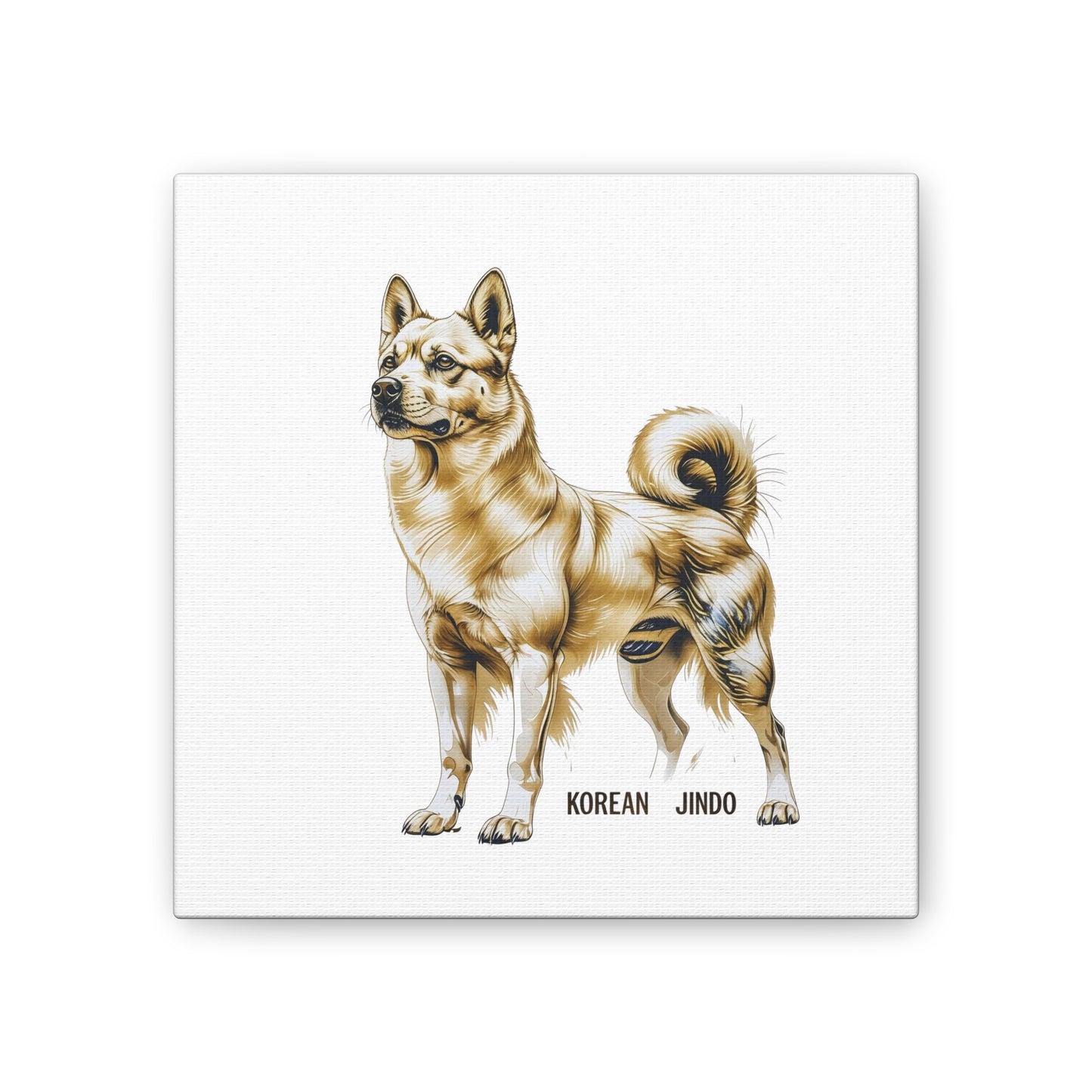 Korean Jindo Dog Illustration Canvas Wall Art | Eco - Limited