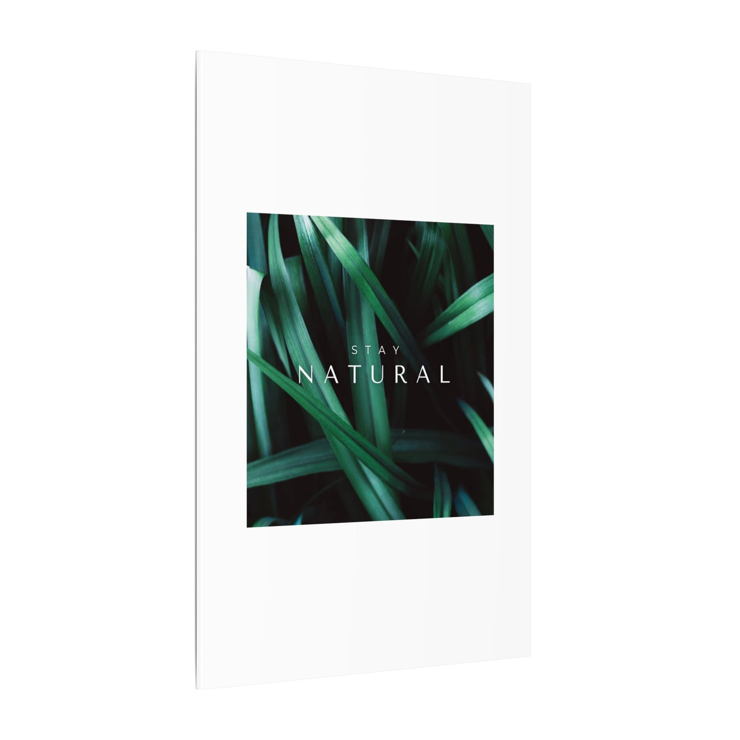 Stay Natural Botanical Canvas Wall Art