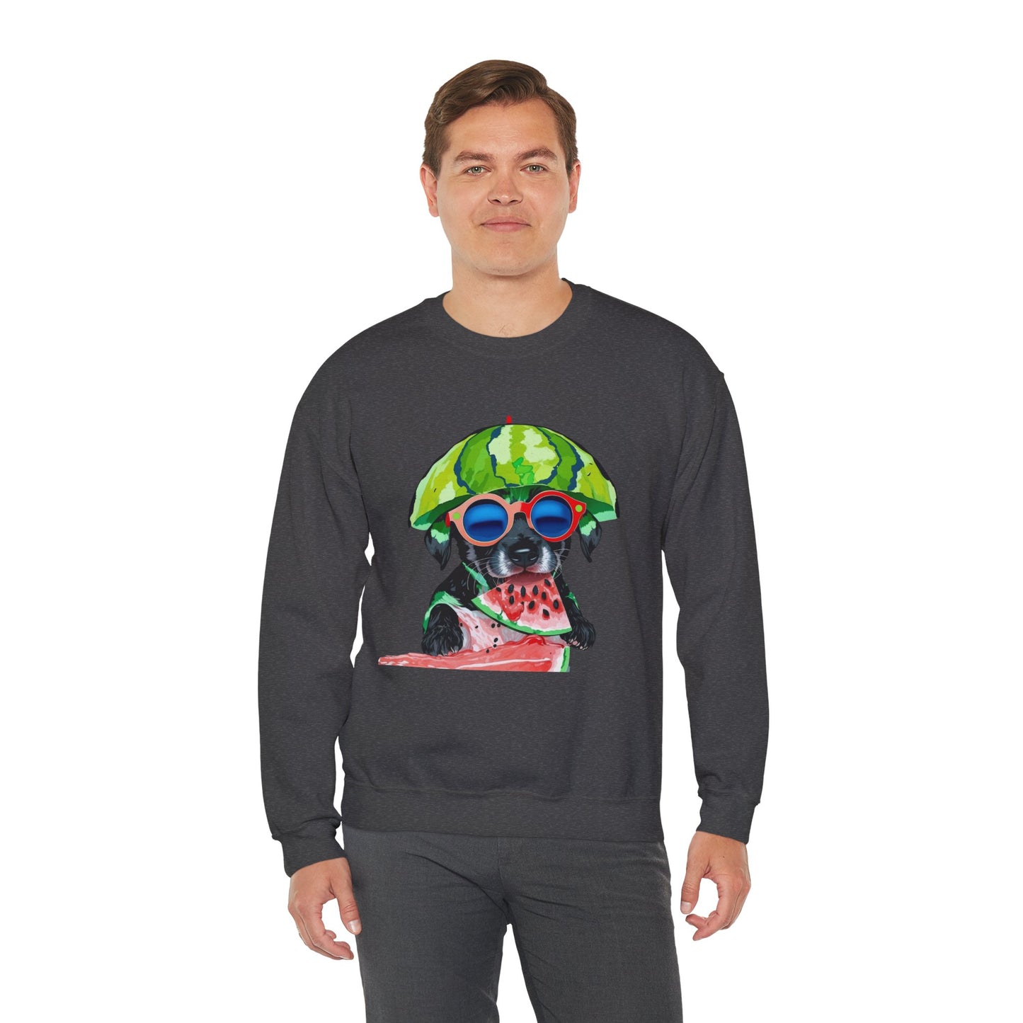 Dog in Helmet & Sunglasses Sweatshirt|Eco-Friendly - Limited