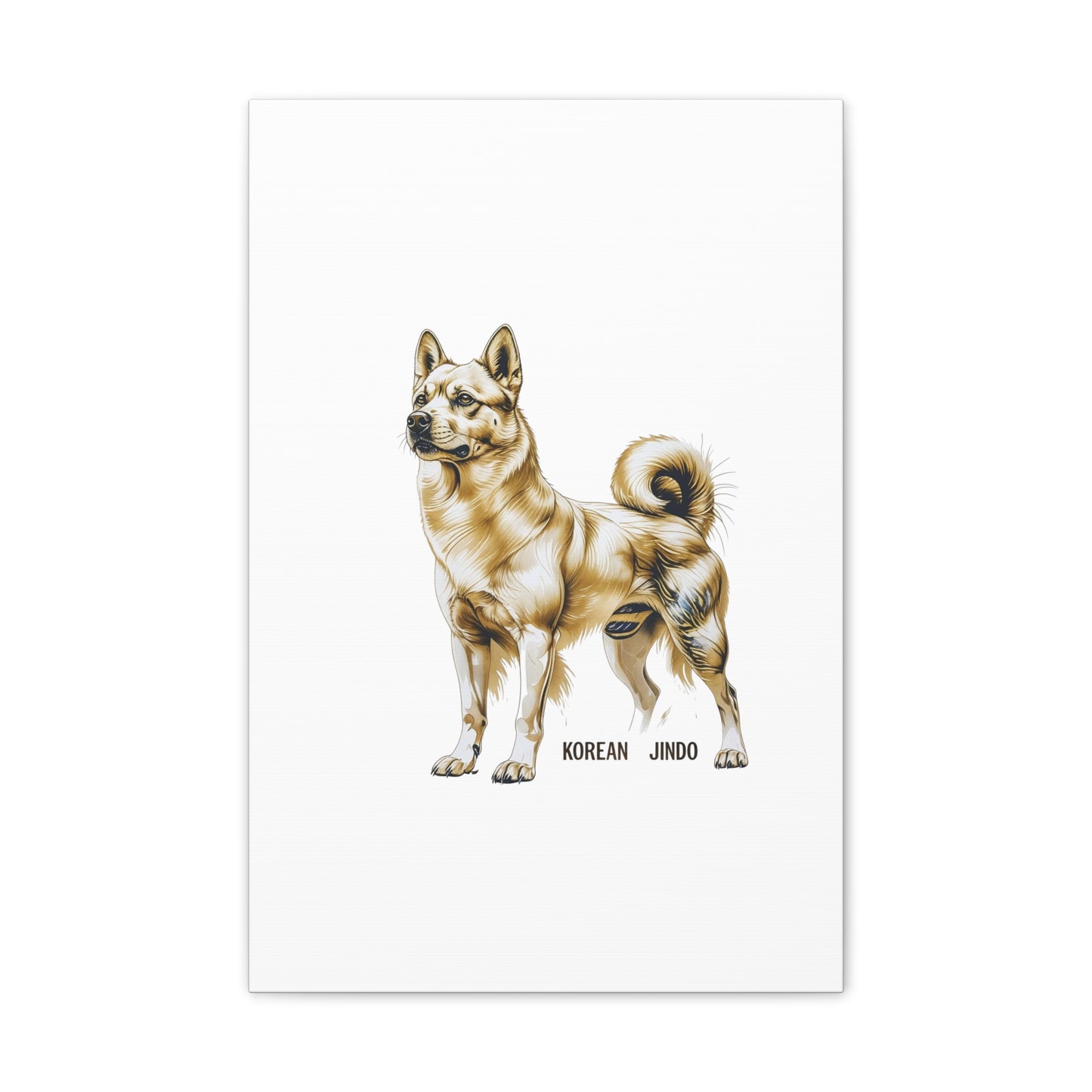 Korean Jindo Dog Illustration Canvas Wall Art | Eco - Limited