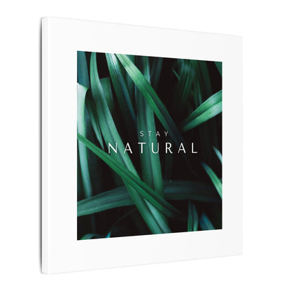 Stay Natural Botanical Canvas Wall Art