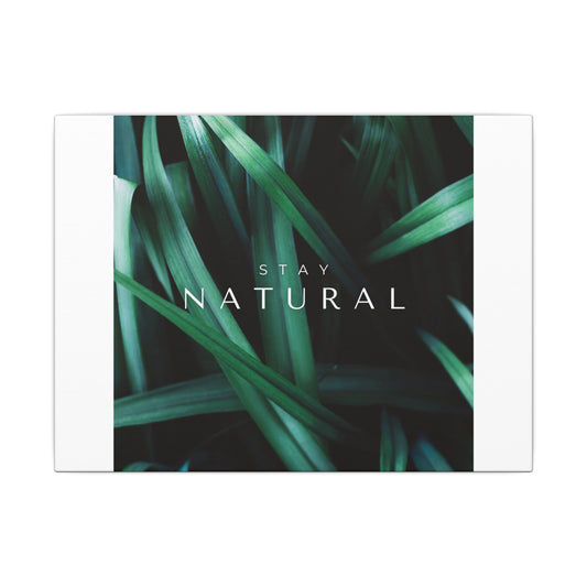 Stay Natural Botanical Canvas Wall Art